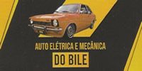 Auto Elétrica e Mecânica do Bile